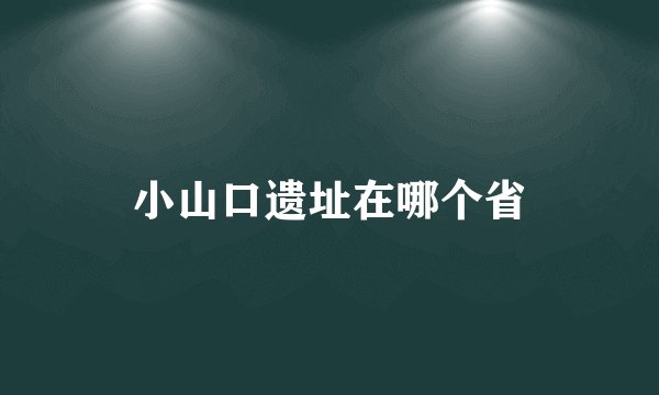 小山口遗址在哪个省