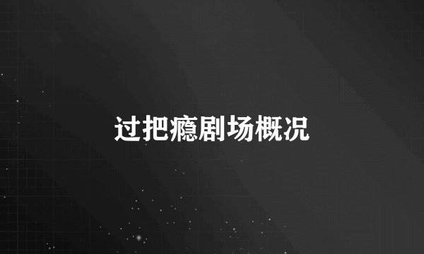 过把瘾剧场概况