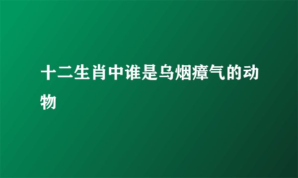 十二生肖中谁是乌烟瘴气的动物