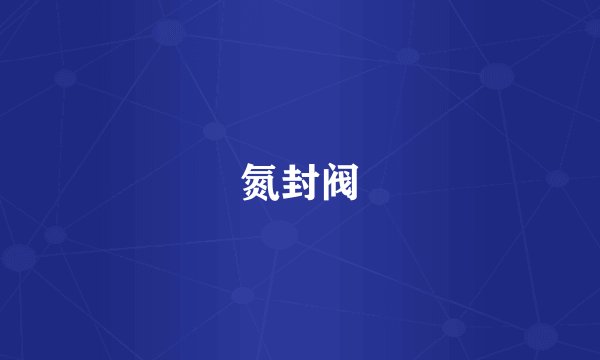 氮封阀