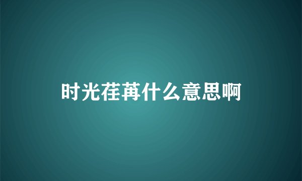 时光荏苒什么意思啊