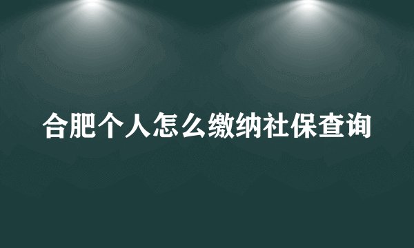 合肥个人怎么缴纳社保查询