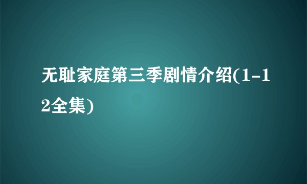 无耻家庭第三季剧情介绍(1-12全集)