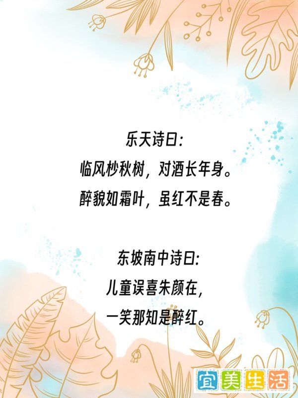 黄庭坚提出【点铁成金】、【夺胎换骨】对写作有何启发?