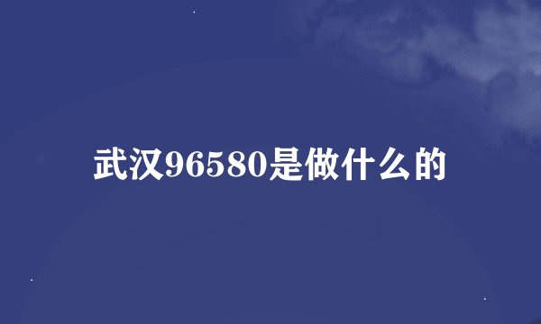 武汉96580是做什么的