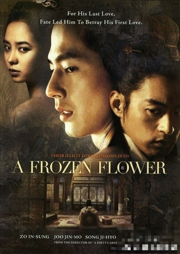 霜花店讲了什么故事