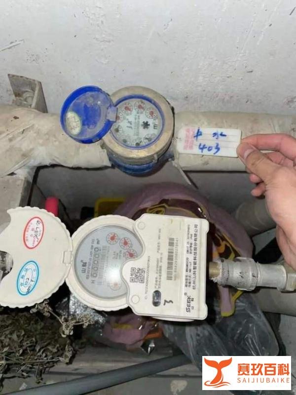 生活用水竟是中水？北漂情侣租房住了半年才发现：身体明显不适！