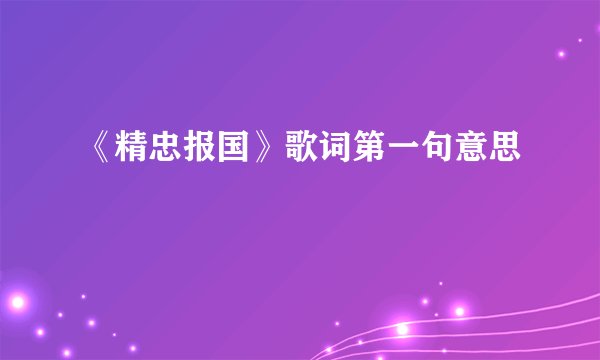 《精忠报国》歌词第一句意思