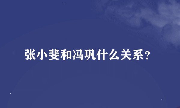 张小斐和冯巩什么关系？