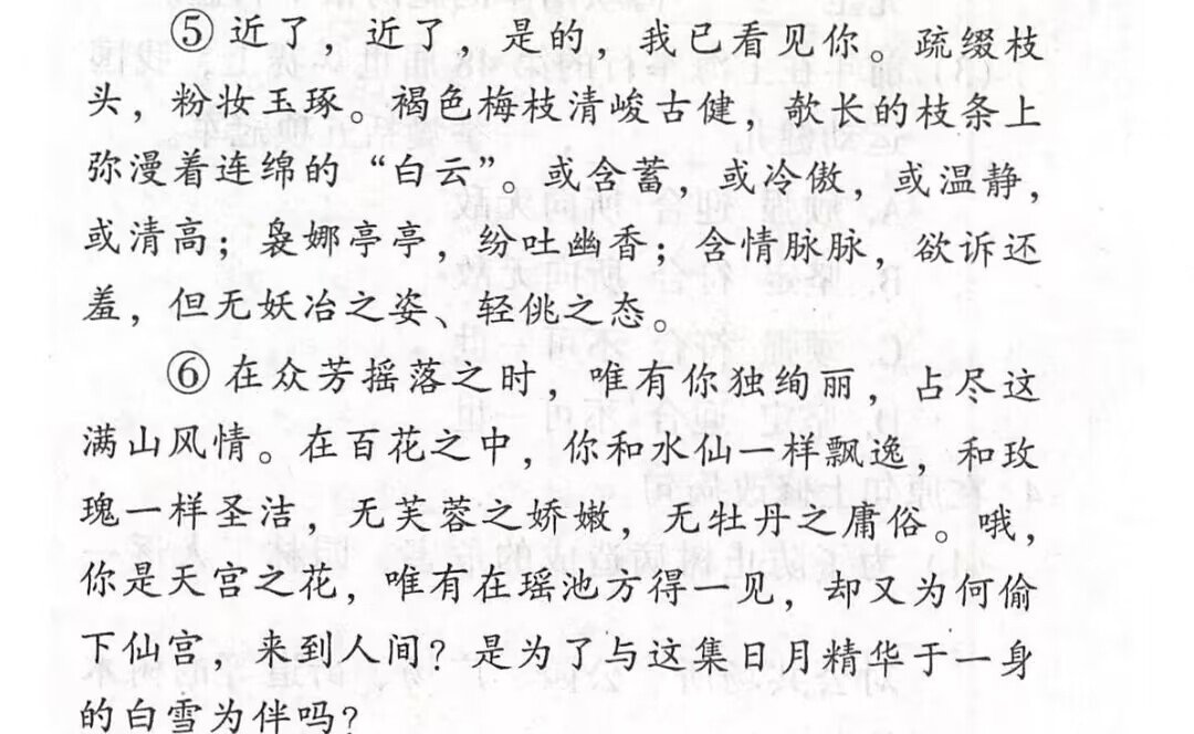启迪生命的梅是用第几人称写的