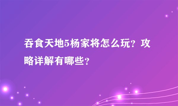 吞食天地5杨家将怎么玩？攻略详解有哪些？