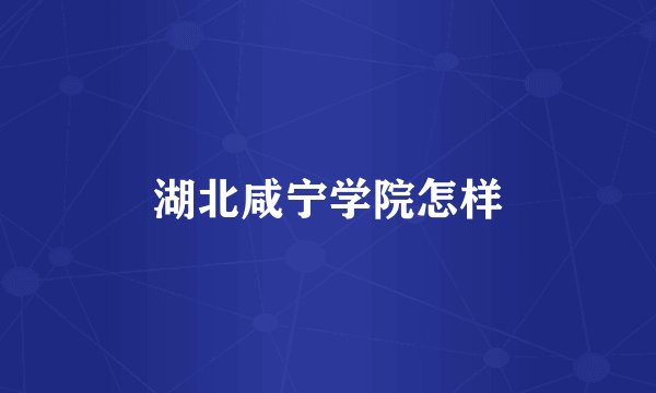 湖北咸宁学院怎样