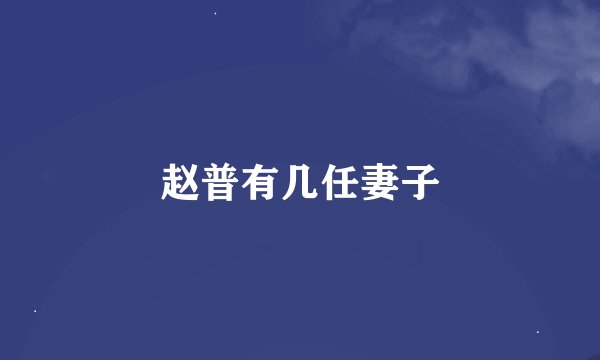 赵普有几任妻子
