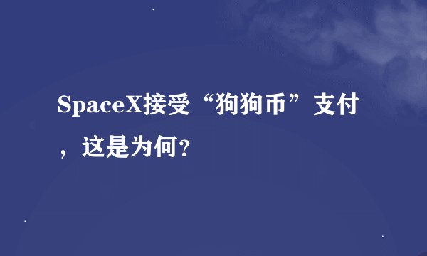 SpaceX接受“狗狗币”支付，这是为何？