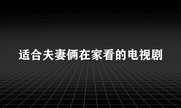适合夫妻俩在家看的电视剧