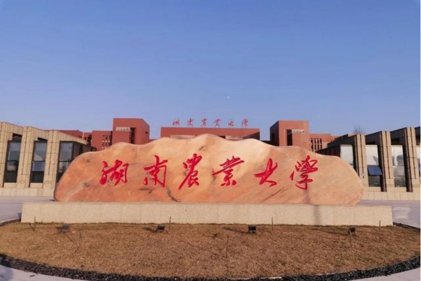湖南农业大学2023录取分数线是多少分