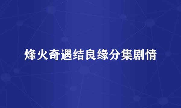 烽火奇遇结良缘分集剧情