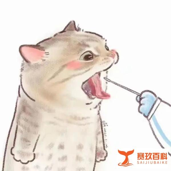 支住、把稳！西安该如何坚持动态清零总方针