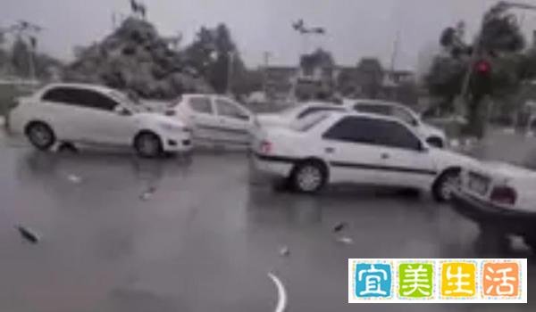 罕见奇观!伊朗天降“鱼雨”,神秘现象“引全球热议”!