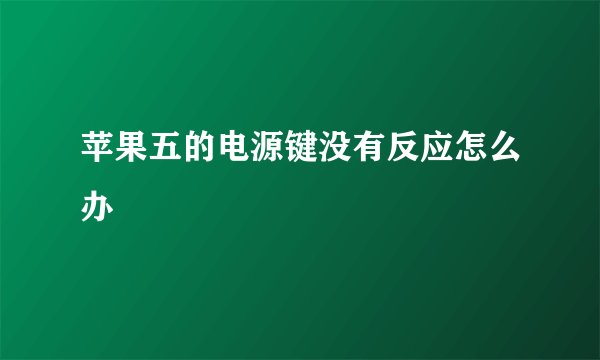 苹果五的电源键没有反应怎么办