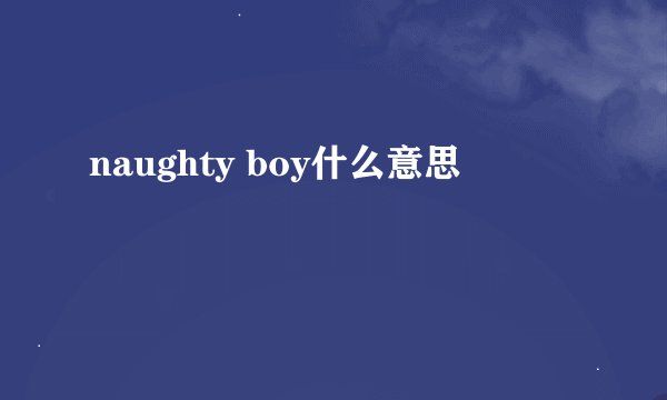 naughty boy什么意思