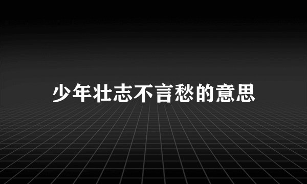 少年壮志不言愁的意思