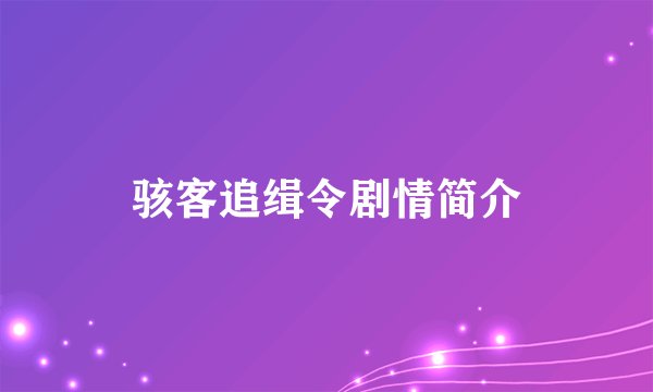 骇客追缉令剧情简介