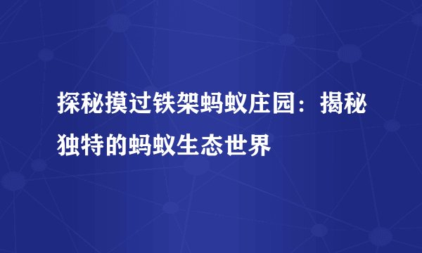 探秘摸过铁架蚂蚁庄园：揭秘独特的蚂蚁生态世界