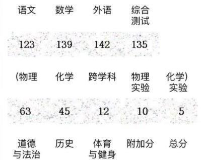 2023年中考成绩出炉及回顾