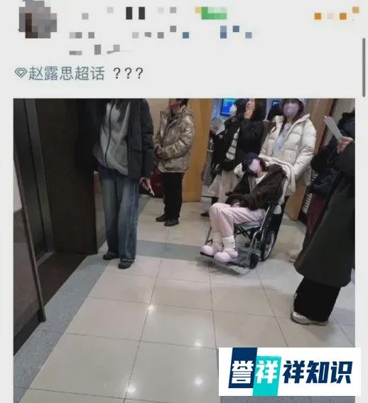 演员赵露思自行暂时关闭微博账号,因突发身体不适,暂停后续所有工作
