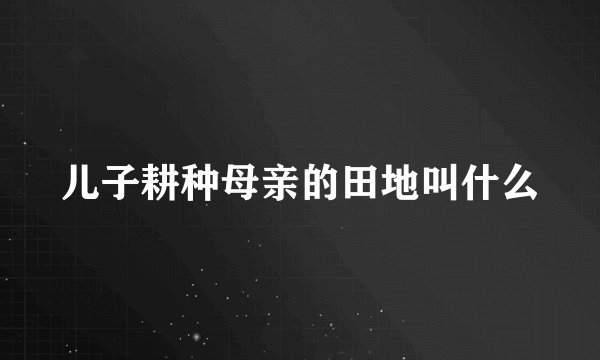儿子耕种母亲的田地叫什么