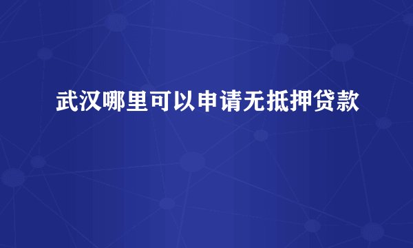 武汉哪里可以申请无抵押贷款