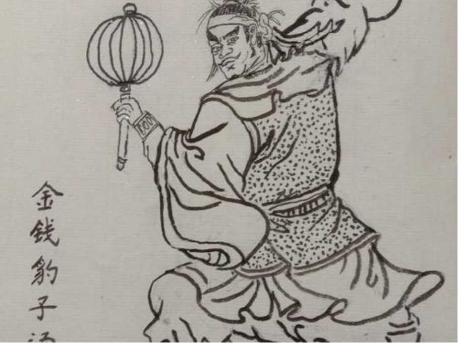 飞天毛贼的意思