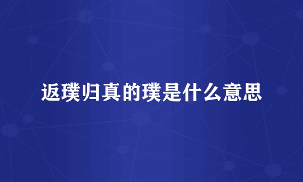 返璞归真的璞是什么意思