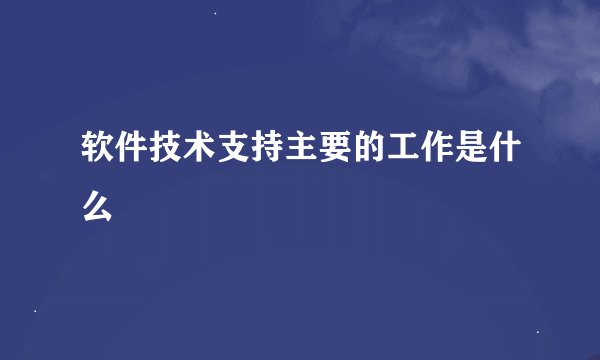 软件技术支持主要的工作是什么