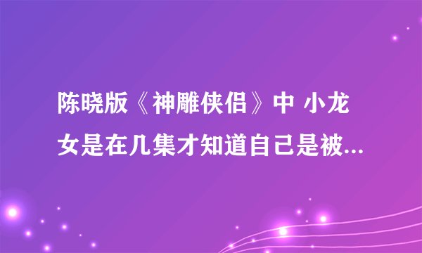 陈晓版《神雕侠侣》中 小龙女是在几集才知道自己是被甄志丙玷污的