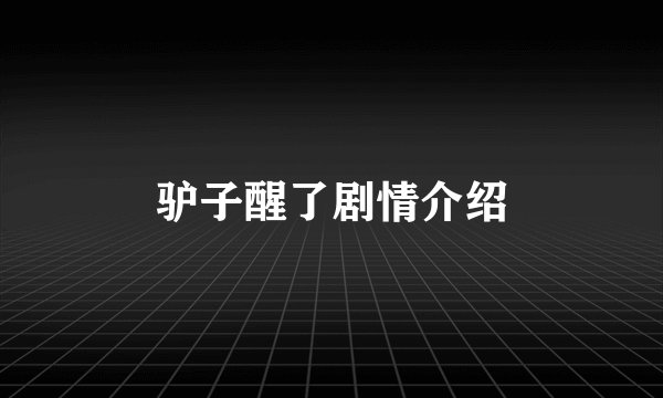 驴子醒了剧情介绍