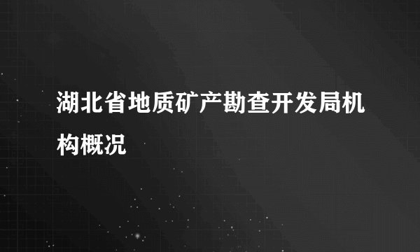 湖北省地质矿产勘查开发局机构概况