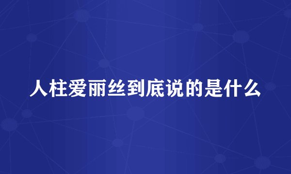人柱爱丽丝到底说的是什么
