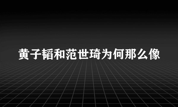 黄子韬和范世琦为何那么像