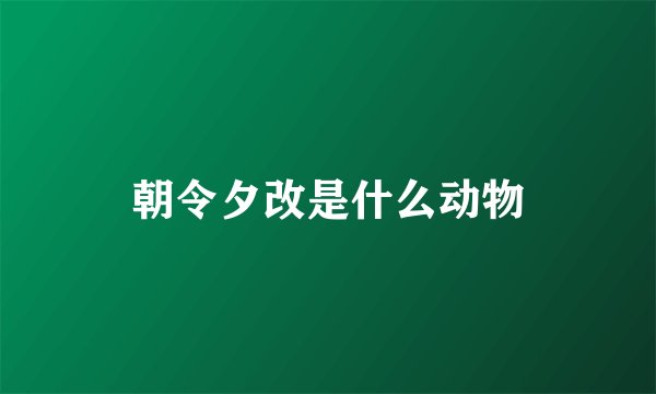 朝令夕改是什么动物