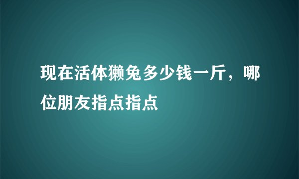 现在活体獭兔多少钱一斤，哪位朋友指点指点