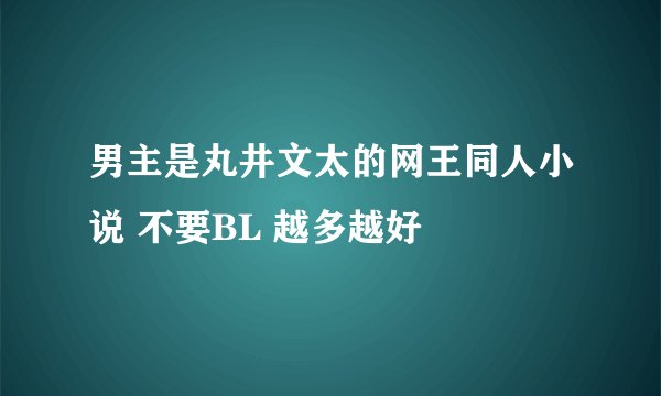 男主是丸井文太的网王同人小说 不要BL 越多越好