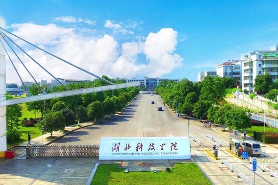 湖北科技学院分数线2023