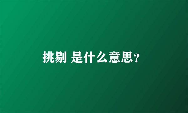 挑剔 是什么意思？