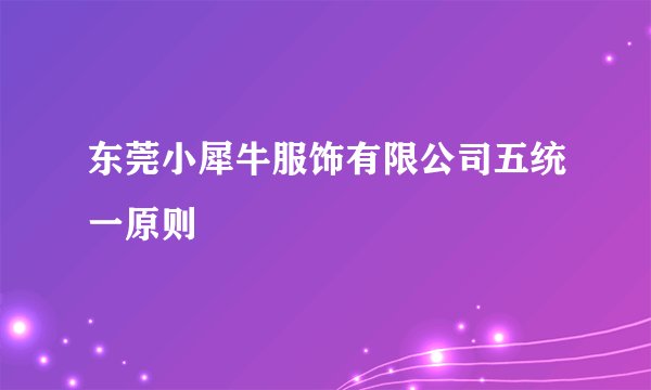 东莞小犀牛服饰有限公司五统一原则
