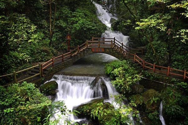 重庆黑山谷最详细旅游攻略-一日游