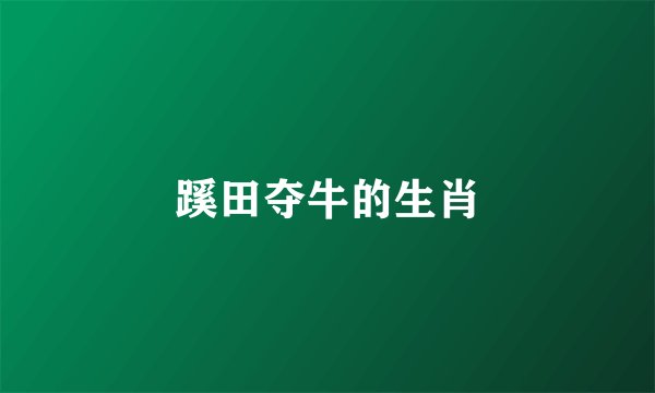 蹊田夺牛的生肖