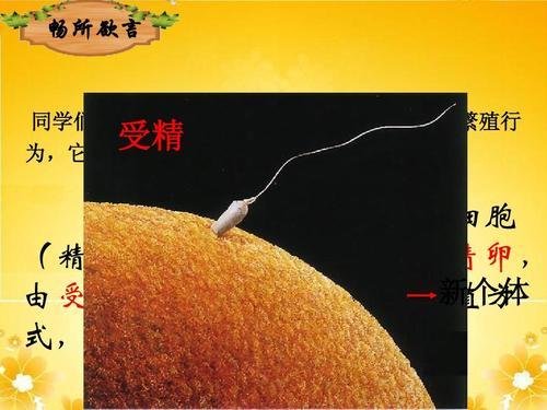 无性繁殖有那么多优势,为什么人类还要选择男女一起繁衍下一代?