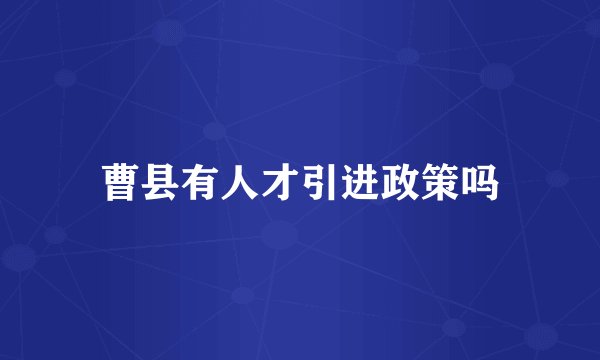 曹县有人才引进政策吗